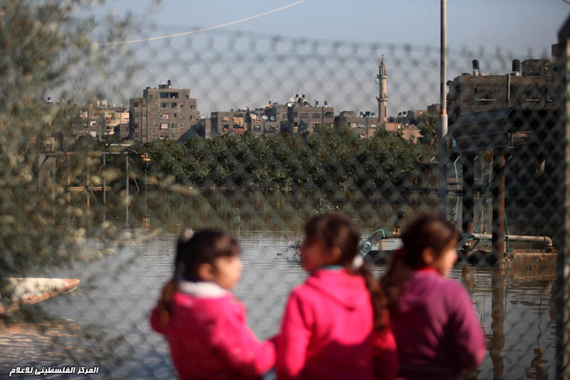 آثار المنخفض الجوي الذي ضرب فلسطين وتشريد العشرات من العائلات في غزة من بيوتها وجهود طواقم الدفاع المدني و المواطنين و فصائل المقاومة في مساعدة المتضررين و جهود IMG_9968_zpscf5fc92c