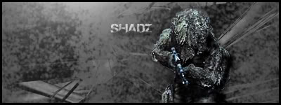 Black and White Ghillie Sniper ShadZ-BWGhillie2