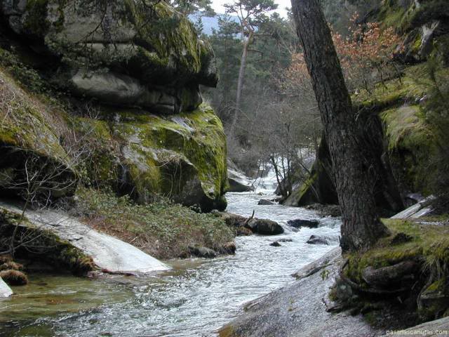 Orchua - Página 3 Arroyo