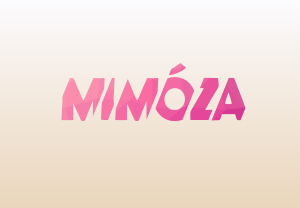 mimózacollection - Cut letters creation Pink