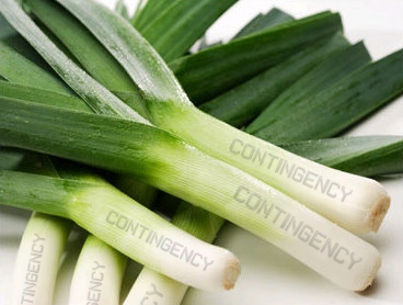 Leeks Thread Contingencyleeks_zps768a13c7