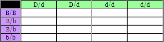 Mouse Genetics Inheritance5ani_zpsqz39zape