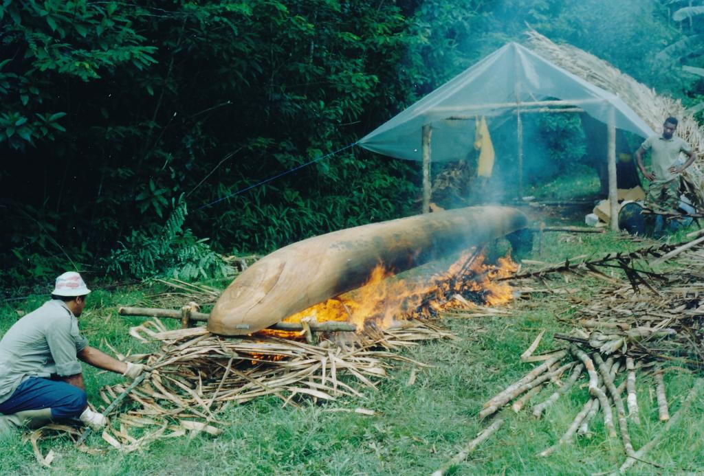 Fabrication d'une pirogue... Guyane%205_zpscqaaszks