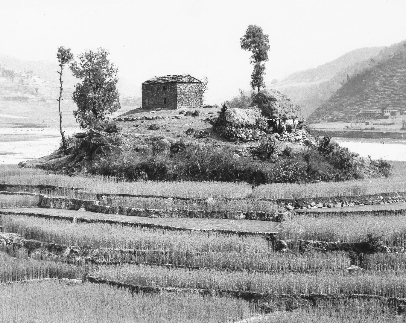 Sur la route du Langtang (Népal) Nepal16_zpsbc1684d3