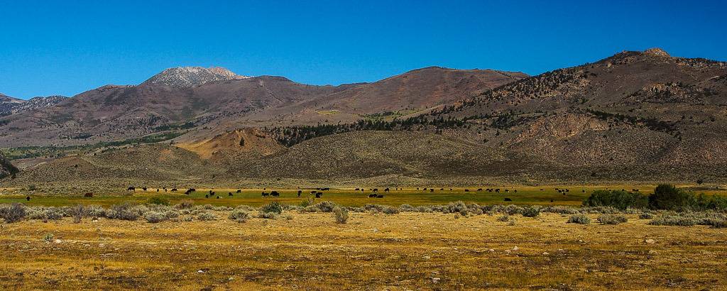 Nevada/Californie et non Arizona... Californie%2017_zpszegbccn1