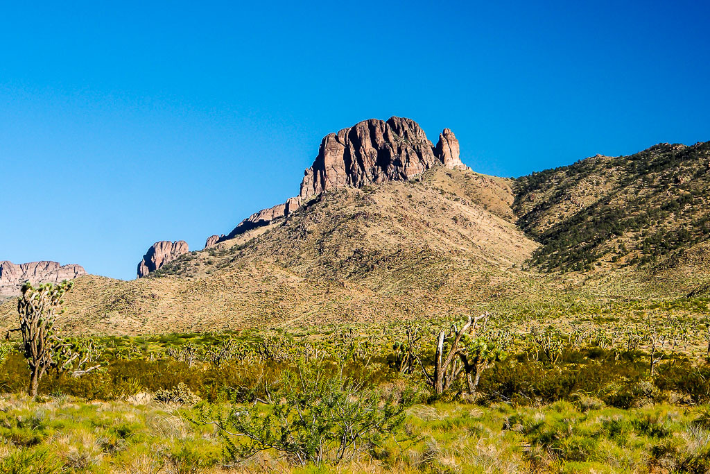 Désert de l'Arizona Las%20vegas%209%20L_zpsjbgqunay