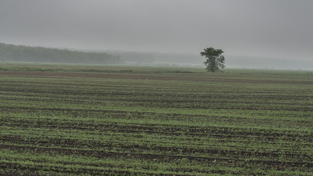 Temps incertain sur l'Île Mitan%203_zpsjwpydf90