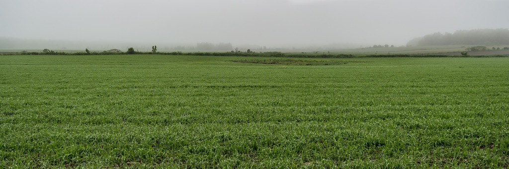 Temps incertain sur l'Île Mitan%204_zpsglv6jcbf