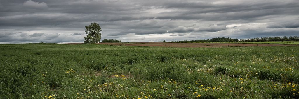 Temps incertain sur l'Île Mitan%208_zps1hwidpym