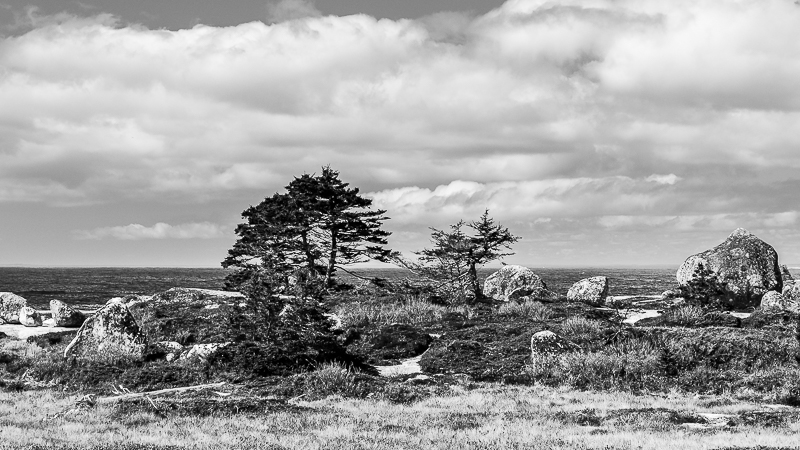 Baie de Peggy's Cove (Nouvelle-Écosse) N--04_zpswdhbir3m