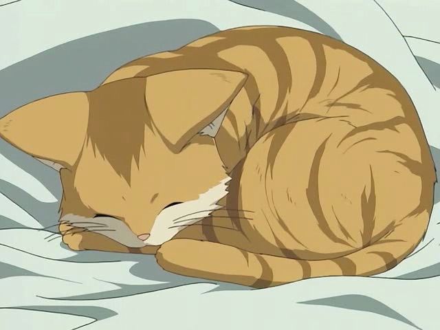 [Libre~] I lost my cat! Gingercatanime_zps4537d76e