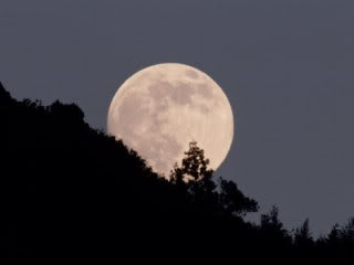 Bosansko vjetiarstvo Full-Moon