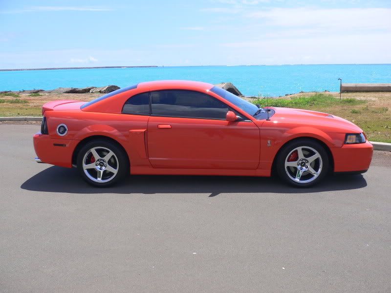 Pictures of my 2004 Competition Orange Cobra MoreCobraPics028