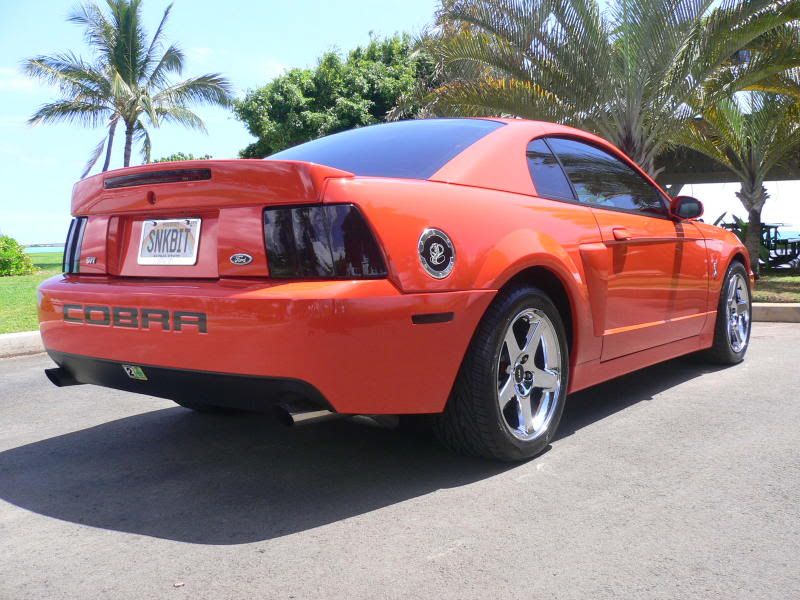 Pictures of my 2004 Competition Orange Cobra MoreCobraPics035