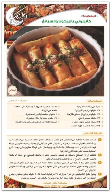 طبخات بالصور طبخ بالصور 2010 . 2011 طبخات وصفات Ara-144