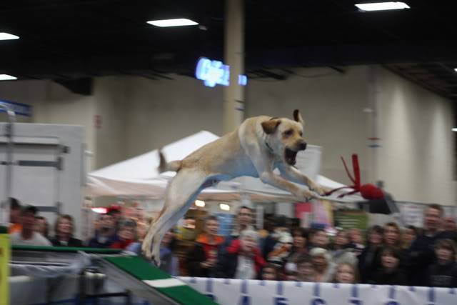 Super Pet Expo, Edison, NJ (2/6 -2/8) SPE09053