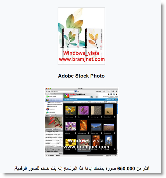 Adobe Creative Suite Premium Cs2 Corpotate build 042806      9