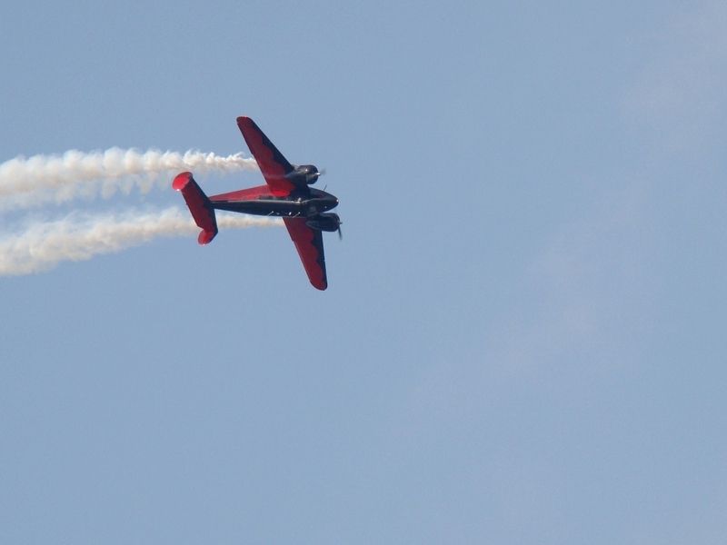 Osh Kosh 2008 (Ajoute) DSC00233_zpsush5rm4g