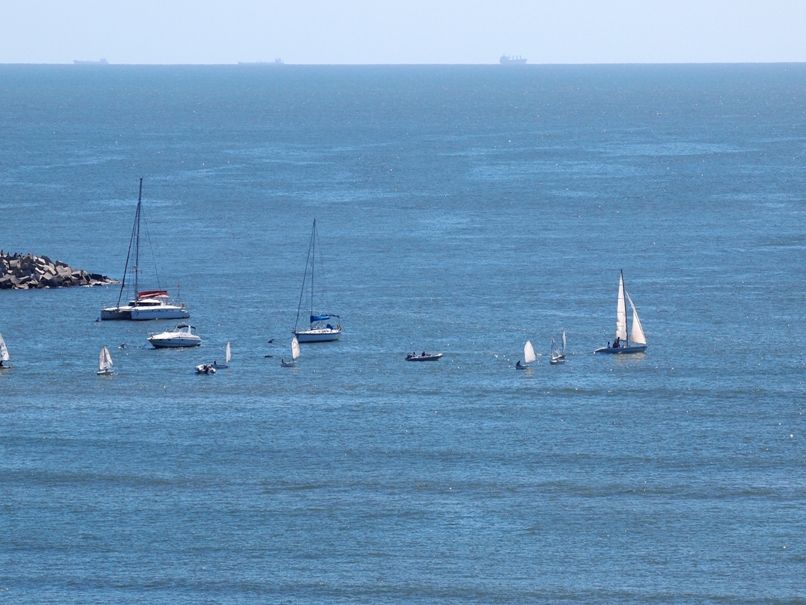 Une apresmidi sur la baie P1042949