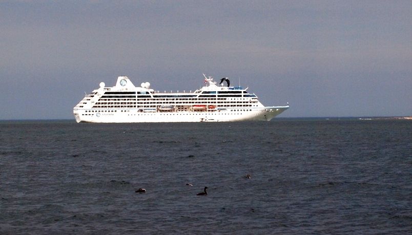 Quatre croisieres ce matin P1313494