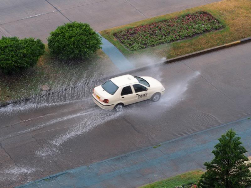 La pluie et apres!! P1020016_zps8d886130