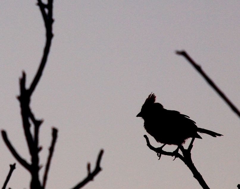 Le soir!! P3023963