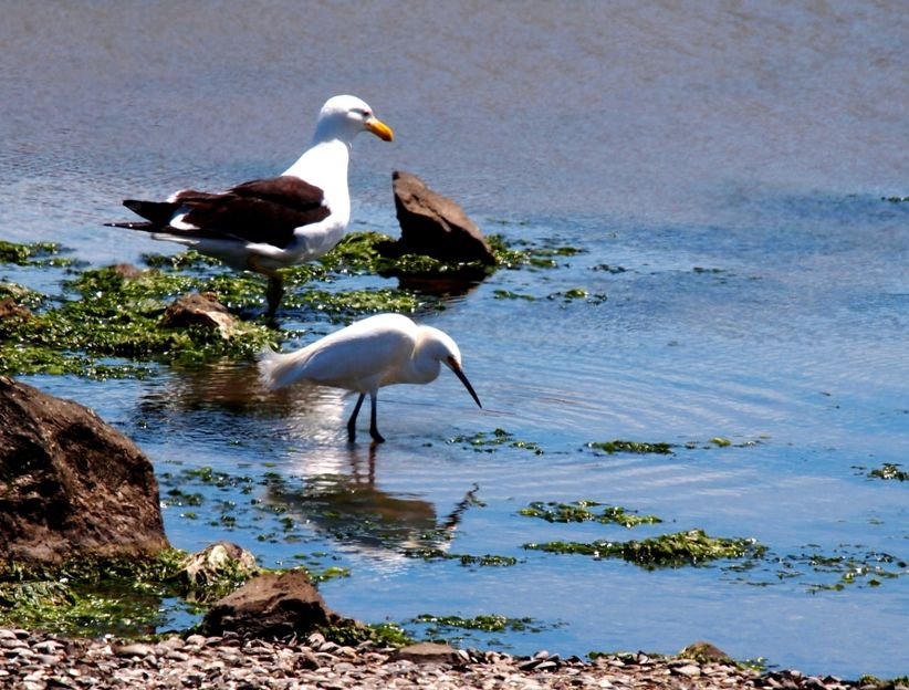 Au bord de l'eau PA212133