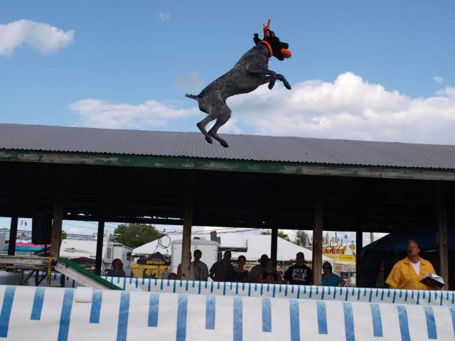 DUPAGE COUNTY FAIR... Wheaton, IL... July 22-26, 2009 P7254658