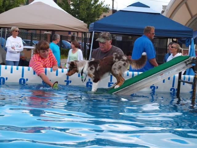 WOOFSTOCK FEST.... K-Zoo, MI.... July 18-19, 2009 P7174190