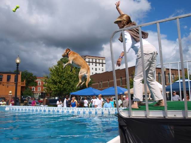 WOOFSTOCK FEST.... K-Zoo, MI.... July 18-19, 2009 P7174211