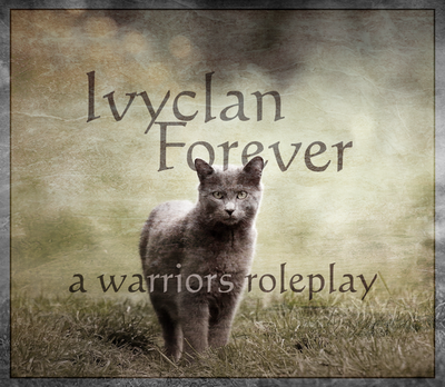 Ivyclan Forever: A Warrior Cats Roleplay Rsz_1rsz_ivyclan_forever_add_zps24ulqjtu