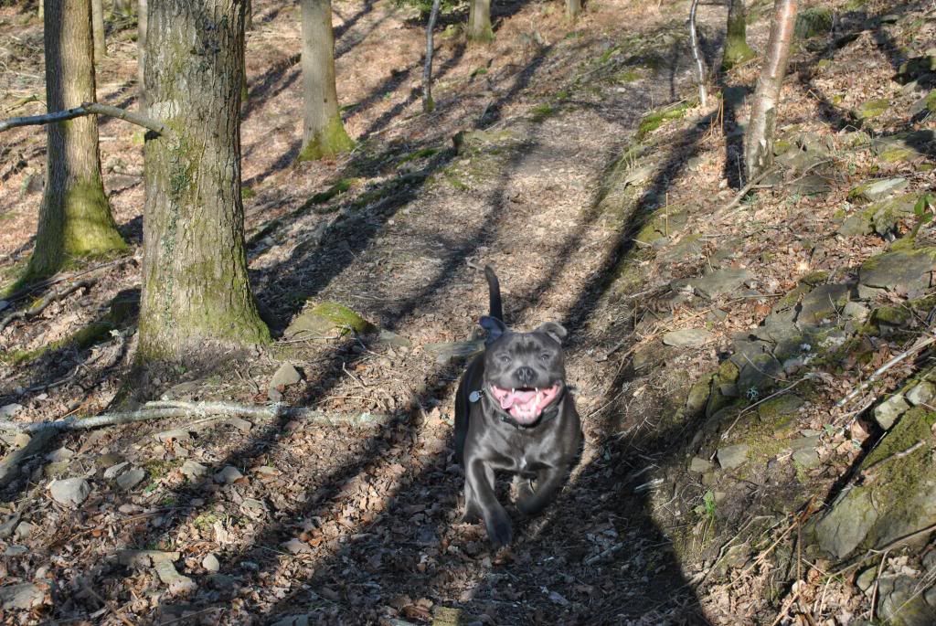 Vinnie today. (Pic heavy) DSC_0089_zpsc520fcf0