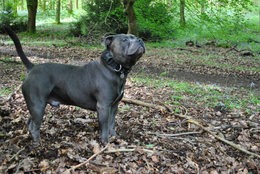 My handsome boy today. DSC_0137_zps3c6c6bd3