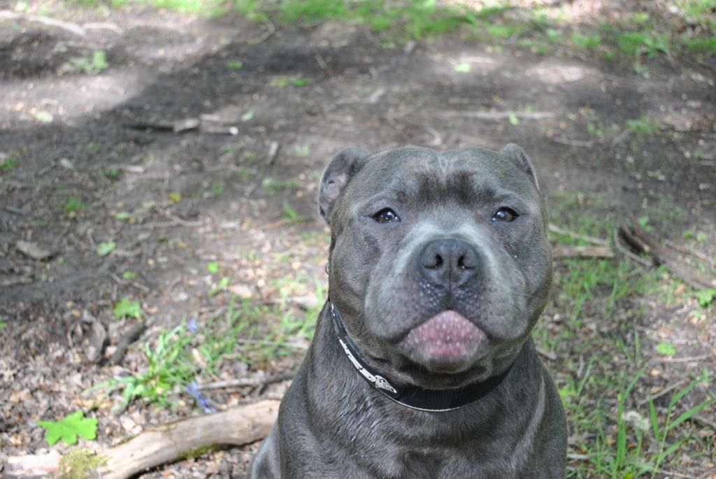 My handsome boy today. DSC_0154_zpsf6cf4039