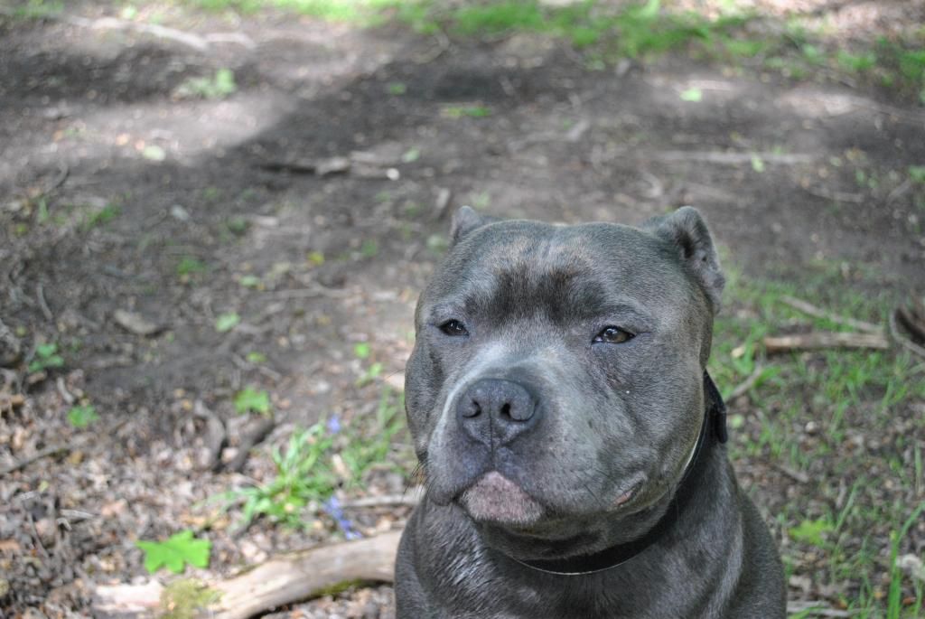 My handsome boy today. DSC_0157_zps5e186fc9