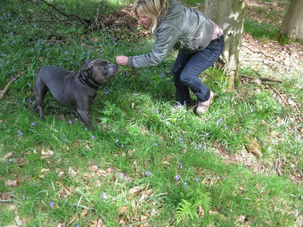 Our Blubell walk today (very pic heavy) IMG_3682_zpsc72a8476