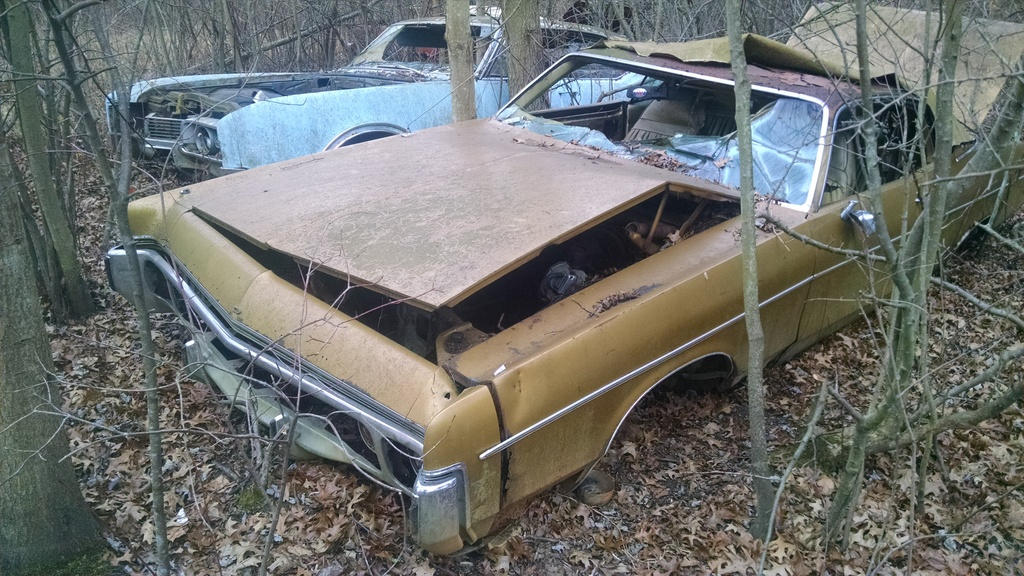 Some junkyard pics IMG_20151214_094148121_zpsnsipwhce