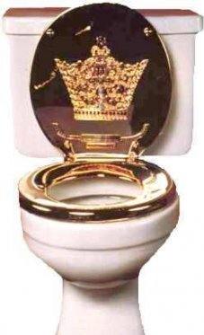 ТАЯ ДЪРТА ВЕЩИЦА–МОДАТА 24-carat-toilet_zps927949b0