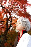 [Gintama] Sakata Gintoki  Th_418534_294120917311896_930491868_n_zpsdb470bd7