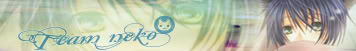 El Team neko Banner4