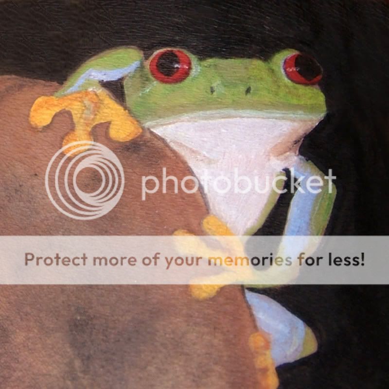 Please join us on the "Weekly Animal Challenge" - Page 23 Treefrog