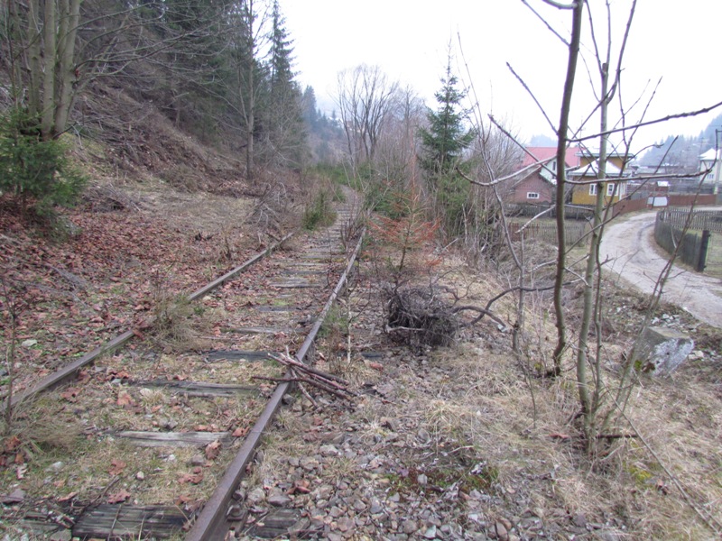 Linia Pojorâta - Fundu Moldovei (aprilie 2013) 061_zpsa4340a8b