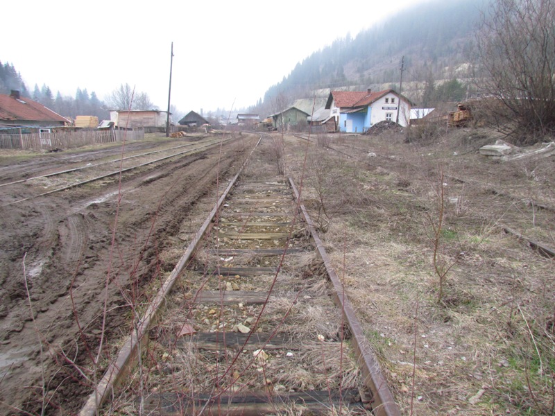Linia Pojorâta - Fundu Moldovei (aprilie 2013) 071_zps3f421eab