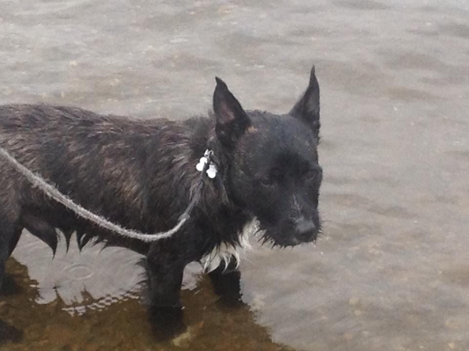 Lots of pics from our walk at Loch Lomond today 2b5a314f48249e016bc483d8b9242131_zps34e49bd2