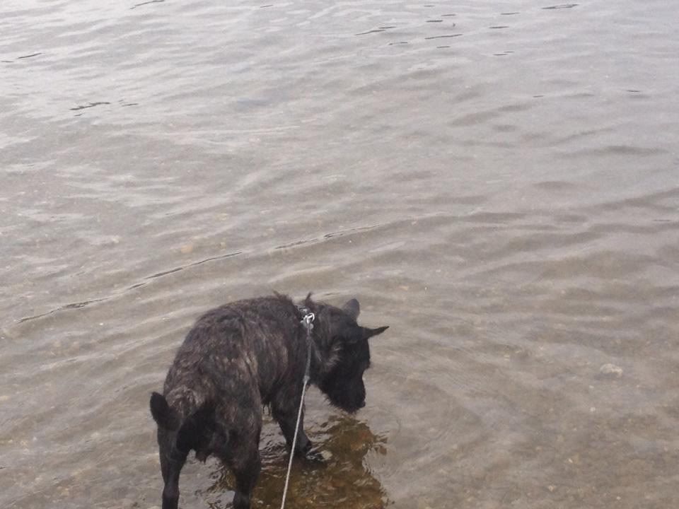 Lots of pics from our walk at Loch Lomond today 3e27aff00cfa601569de518bc00b1500_zps9e2aa398