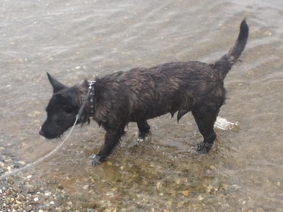 Lots of pics from our walk at Loch Lomond today 43f49c989b3ef4c8277fa5f0ea298924_zpsf8d17f10