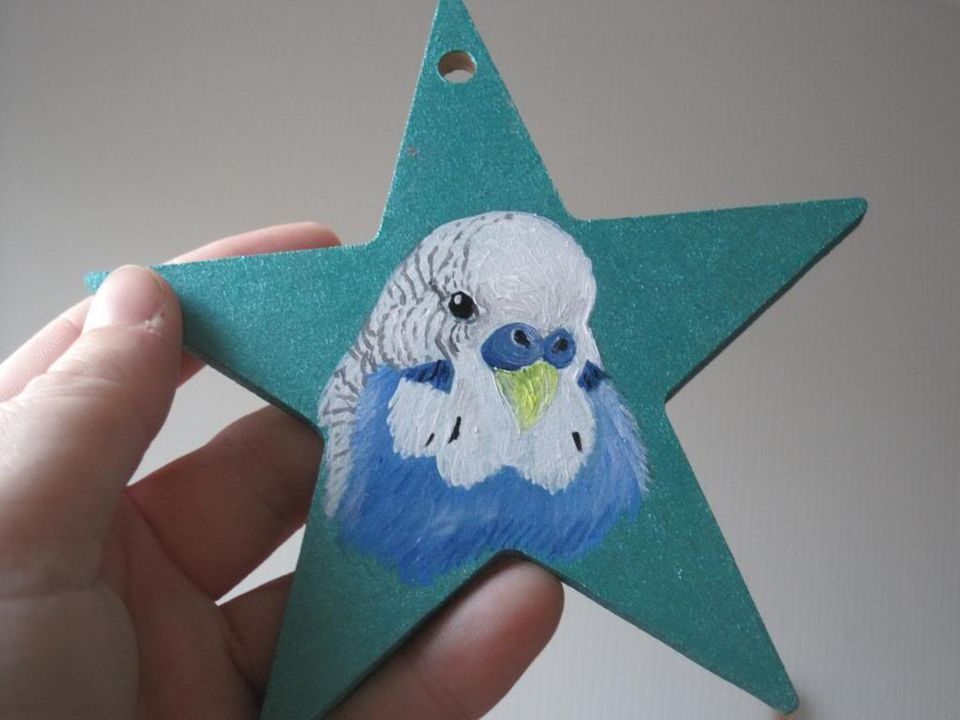 Personalised Pet Stars - ideal for Christmas.  IMG_1815_zpse4dfb6c5