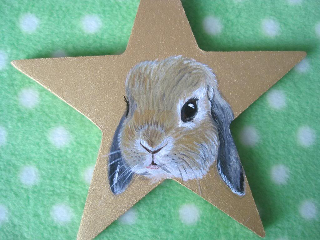 Personalised Pet Stars - ideal for Christmas.  IMG_2499_zps126f483f