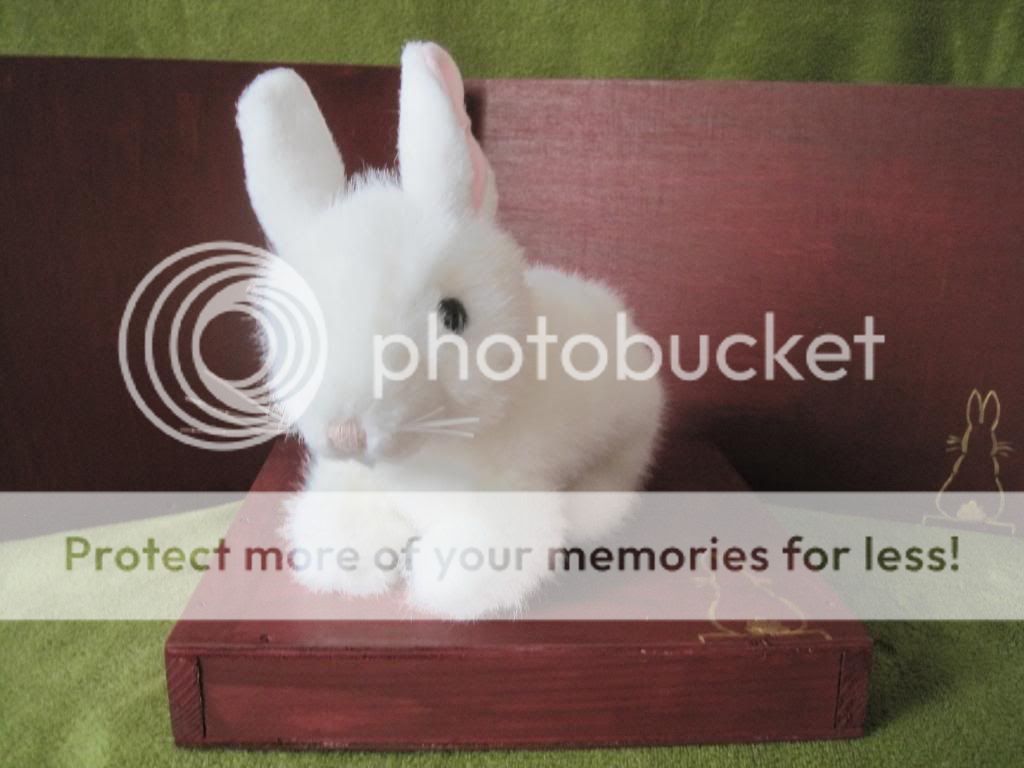 Introducing the BunniBottiBox! IMG_3538_zps2b9b860d