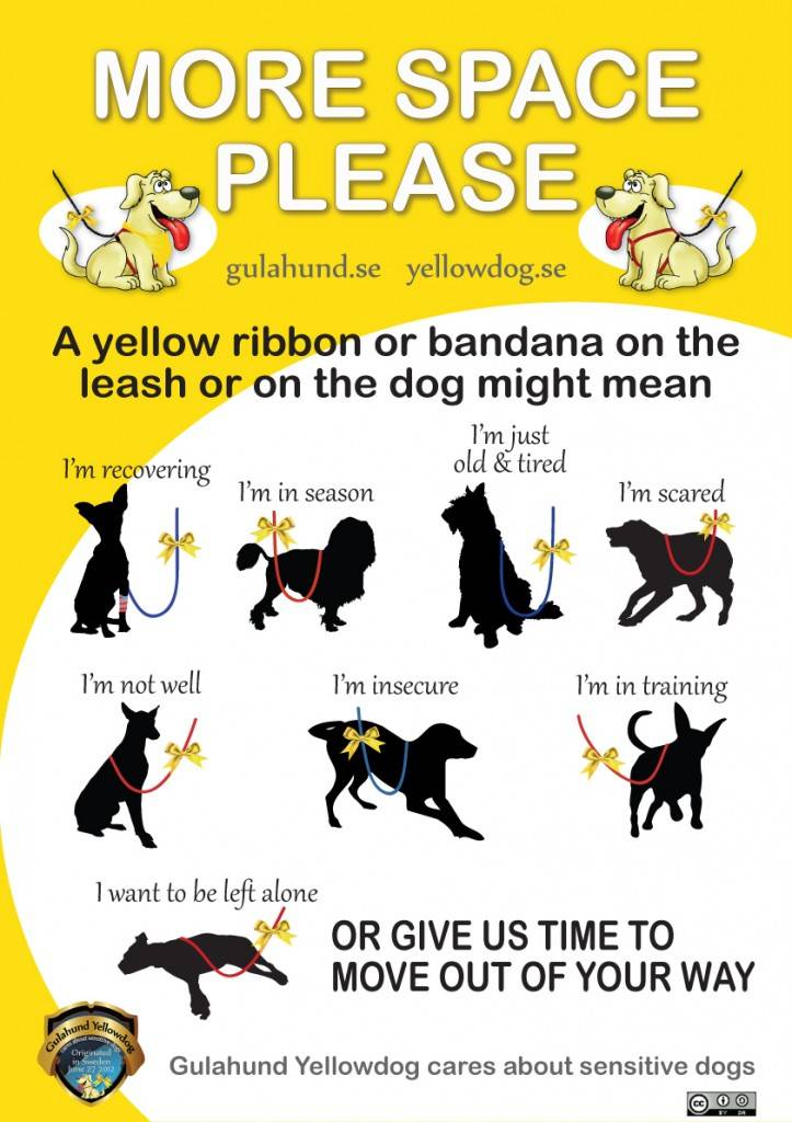 Yellow ribbons Yellowribbondog2_zpsc0354dca